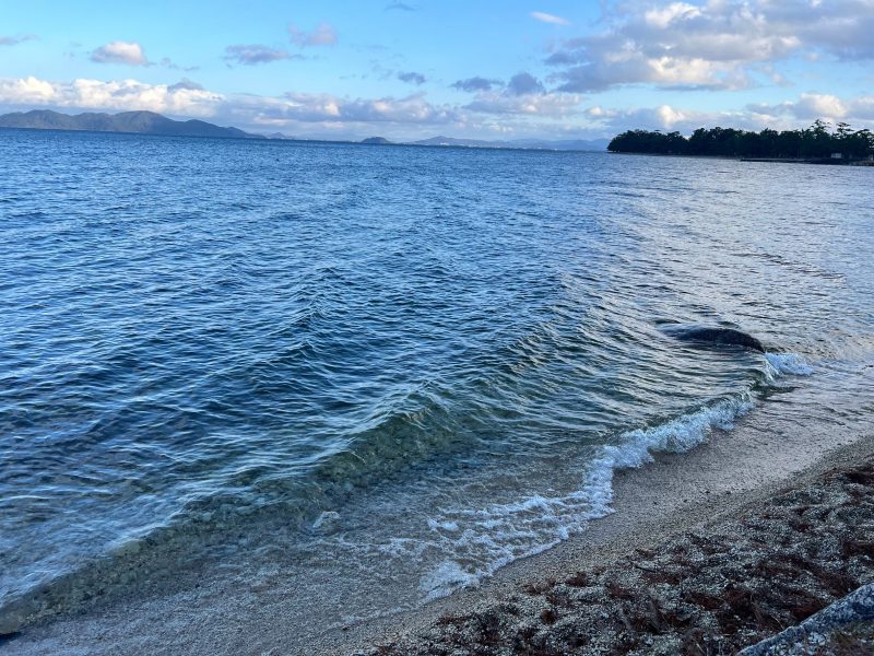 レイクオーツカ　琵琶湖は水が綺麗