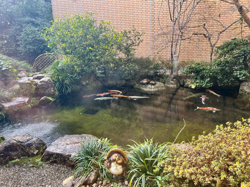 レイクオーツカ　池の鯉