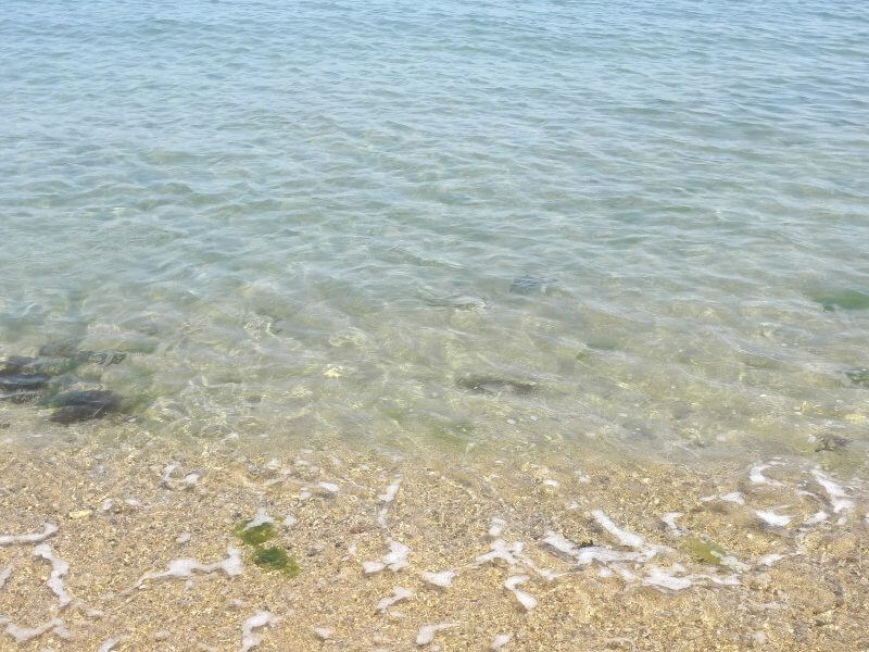 フェアフィールド兵庫淡路東浦　目の前の海岸