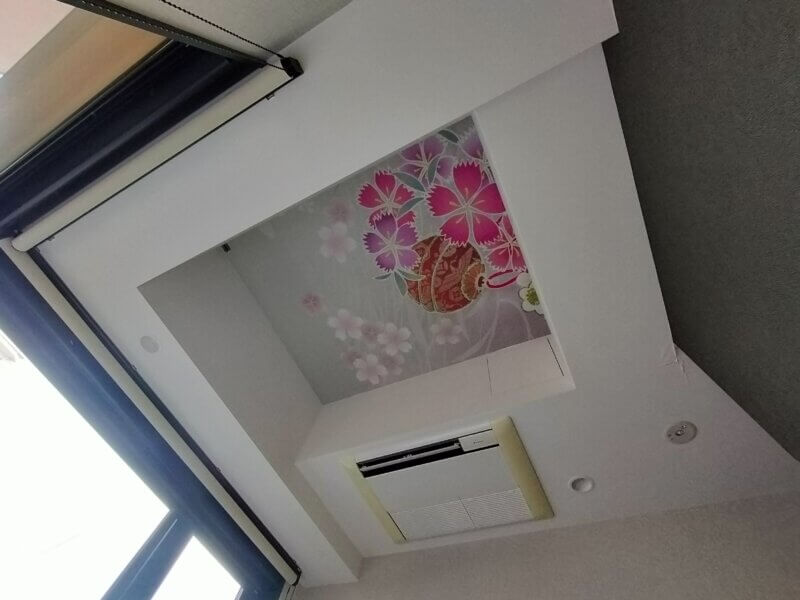 ザ・エディスターホテル京都二条Comic&Booksのコーナーシングルルーム 天井