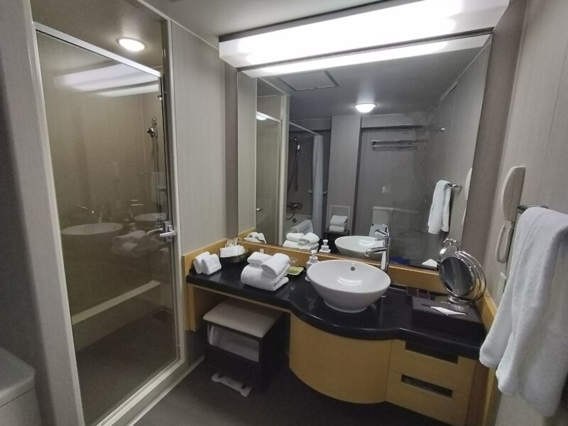 ザ・プリンス京都宝ヶ池の洗面所