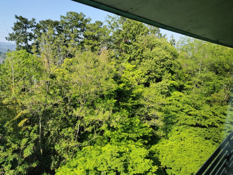 ザ・プリンス京都宝ヶ池のクラブフロアからの眺望